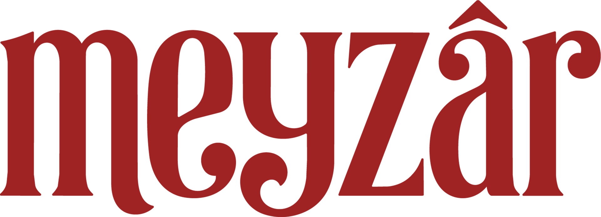 Meyzar Logo Master-01